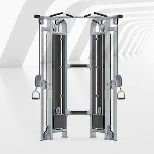 BFT-3025C小飛鳥訓(xùn)練器小飛鳥健身器材廠家